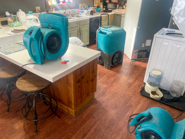 Best Sewage cleanup and water damage restoration  in Falmouth Foreside, ME