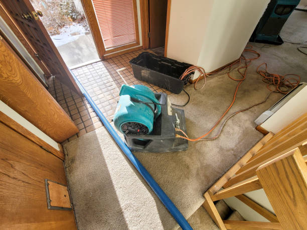 Best Professional water damage repair  in Falmouth Foreside, ME