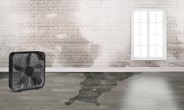 Best Basement water damage restoration  in Falmouth Foreside, ME
