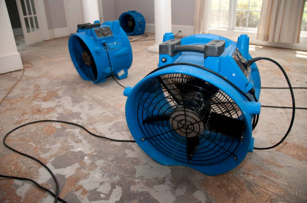 Best Flood restoration services  in Falmouth Foreside, ME