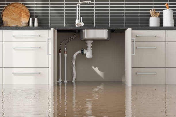 Best Ceiling water damage repair  in Falmouth Foreside, ME
