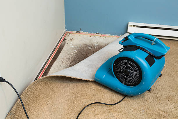 Best Commercial water damage restoration  in Falmouth Foreside, ME